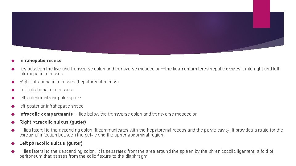  Infrahepatic recess lies between the live and transverse colon and transverse mesocolon－the ligamentum