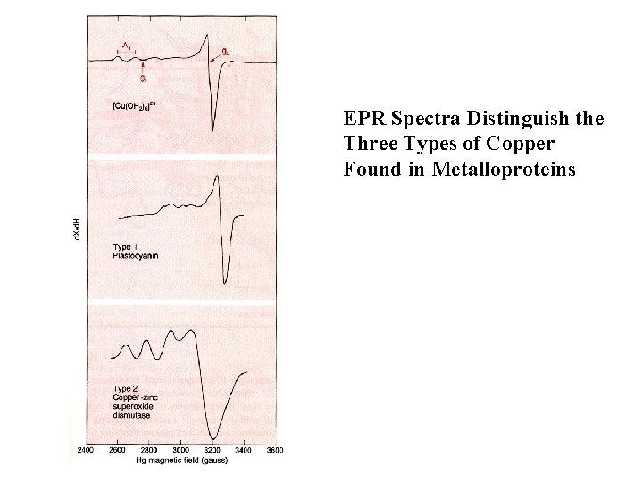 EPR Spectra Distinguish the Three Types of Copper Found in Metalloproteins 