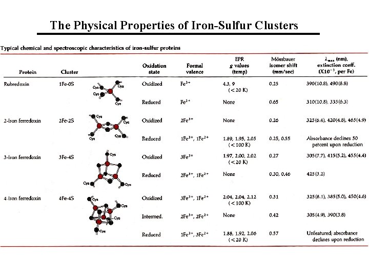 The Physical Properties of Iron-Sulfur Clusters 