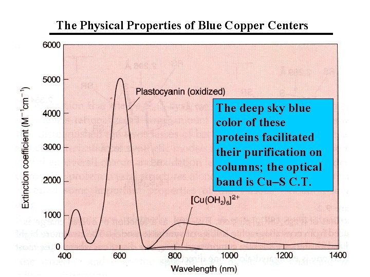The Physical Properties of Blue Copper Centers The deep sky blue color of these