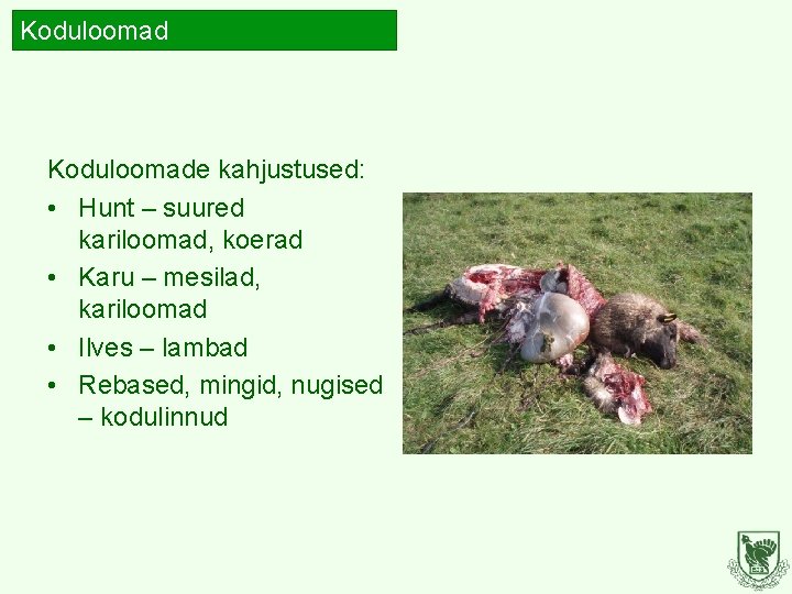 Koduloomade kahjustused: • Hunt – suured kariloomad, koerad • Karu – mesilad, kariloomad • Koduloomade kahjustused: • Hunt – suured kariloomad, koerad • Karu – mesilad, kariloomad •