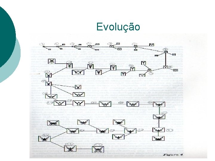 Evolução 