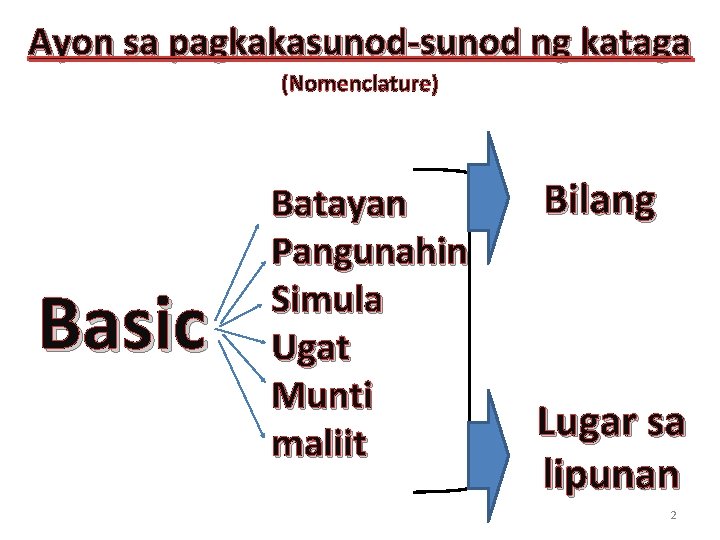 Ayon sa pagkakasunod-sunod ng kataga (Nomenclature) Basic Batayan Pangunahin Simula Ugat Munti maliit Bilang