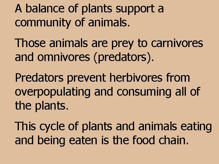 A balance of plants support a community of animals. Those animals are prey to