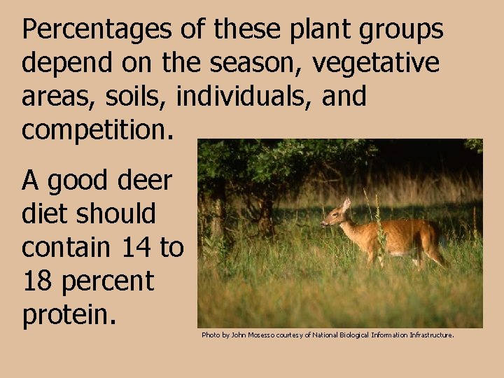 Percentages of these plant groups depend on the season, vegetative areas, soils, individuals, and
