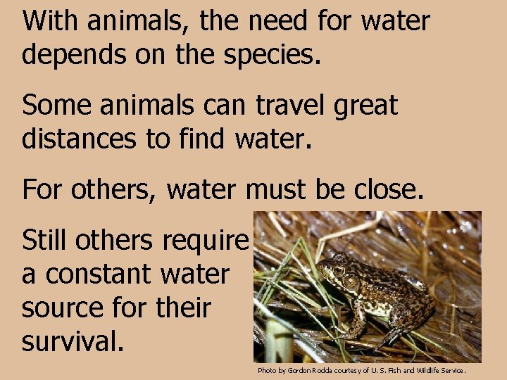 With animals, the need for water depends on the species. Some animals can travel