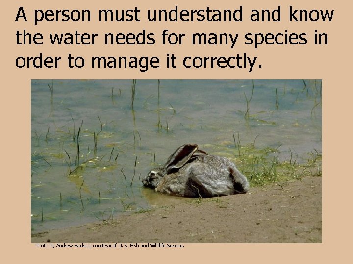 A person must understand know the water needs for many species in order to