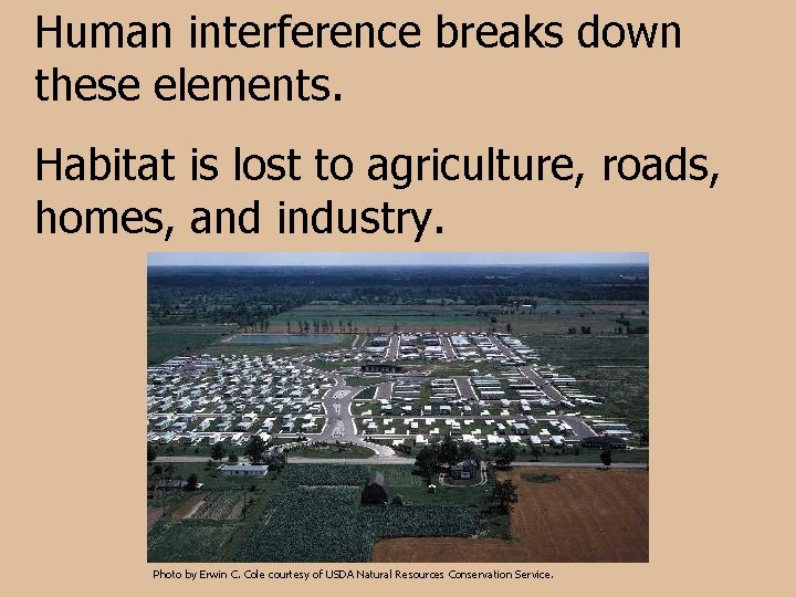 Human interference breaks down these elements. Habitat is lost to agriculture, roads, homes, and