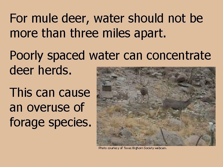 For mule deer, water should not be more than three miles apart. Poorly spaced