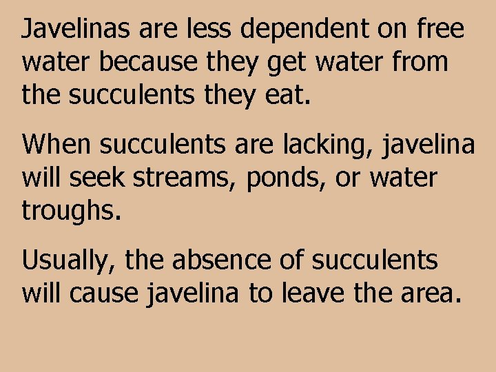 Javelinas are less dependent on free water because they get water from the succulents