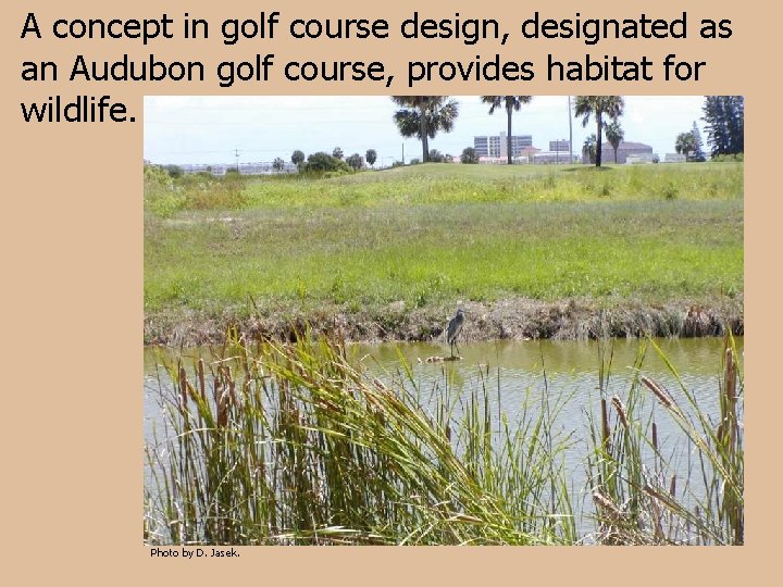 A concept in golf course design, designated as an Audubon golf course, provides habitat