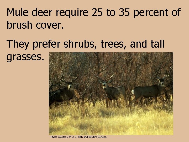 Mule deer require 25 to 35 percent of brush cover. They prefer shrubs, trees,