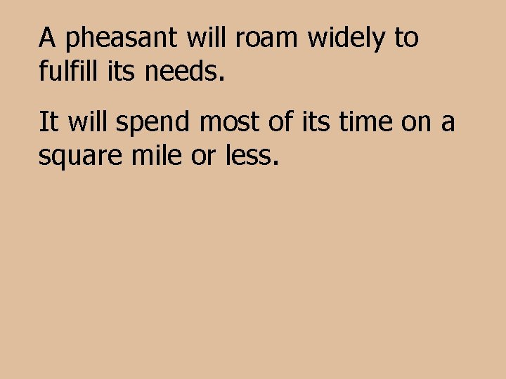 A pheasant will roam widely to fulfill its needs. It will spend most of