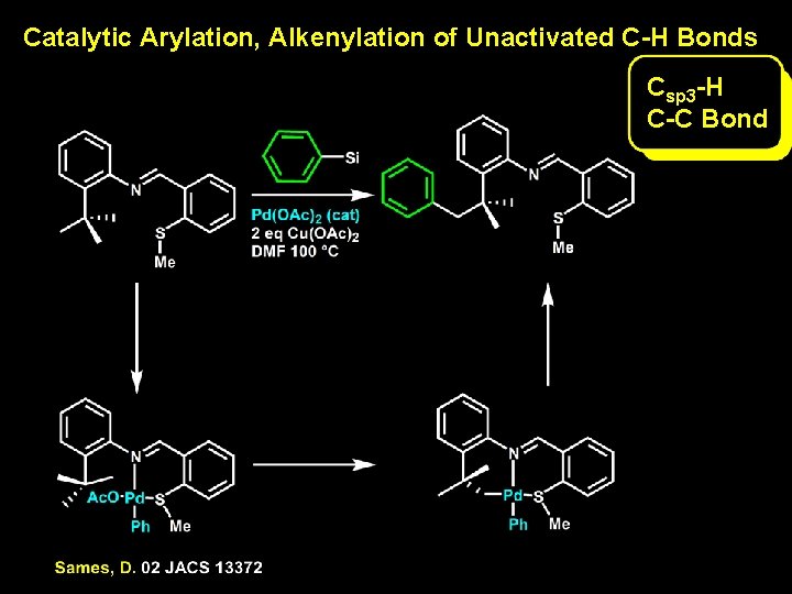 Catalytic Arylation, Alkenylation of Unactivated C-H Bonds Csp 3 -H C-C Bond Catalytic Arylation, Alkenylation of Unactivated C-H Bonds Csp 3 -H C-C Bond
