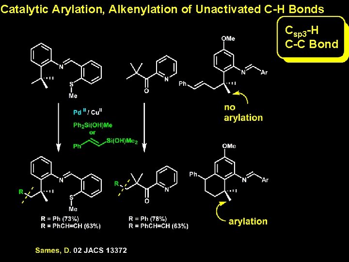Catalytic Arylation, Alkenylation of Unactivated C-H Bonds Csp 3 -H C-C Bond Catalytic Arylation, Alkenylation of Unactivated C-H Bonds Csp 3 -H C-C Bond