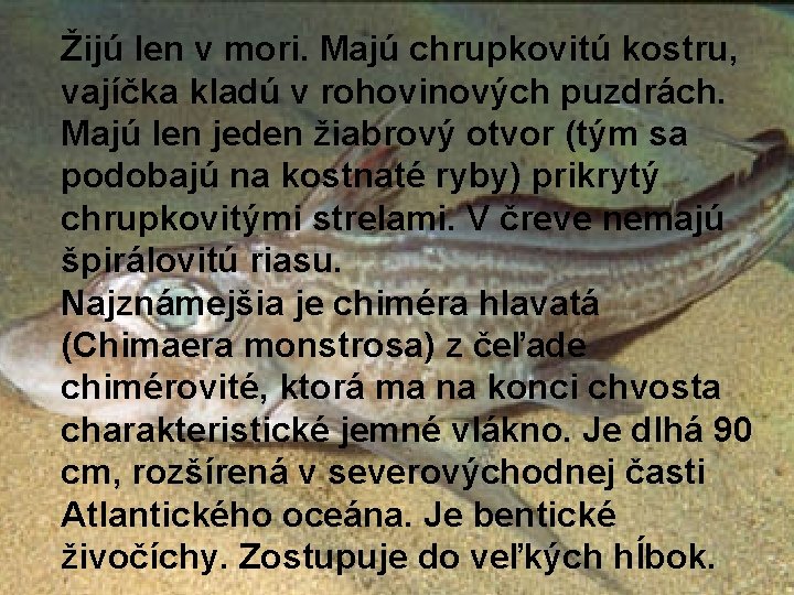 Žijú len v mori. Majú chrupkovitú kostru, vajíčka kladú v rohovinových puzdrách. Majú len