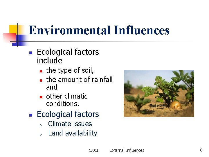 Environmental Influences n Ecological factors include n n the type of soil, the amount