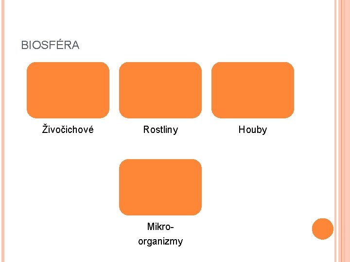 BIOSFÉRA Živočichové Rostliny Mikroorganizmy Houby 