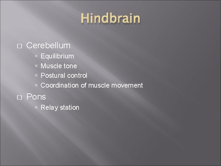 Hindbrain � Cerebellum � Equilibrium Muscle tone Postural control Coordination of muscle movement Pons