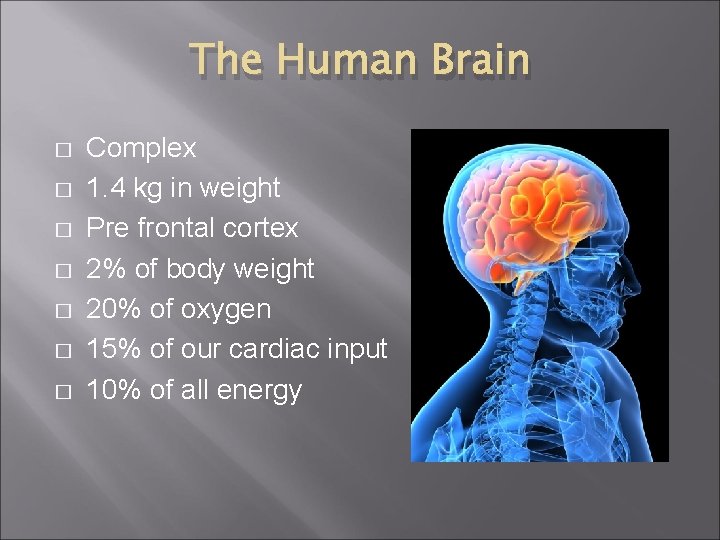 The Human Brain � � � � Complex 1. 4 kg in weight Pre