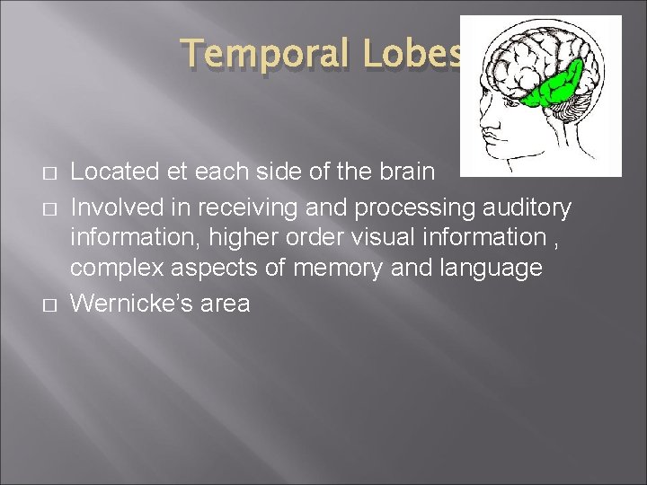 Temporal Lobes � � � Located et each side of the brain Involved in