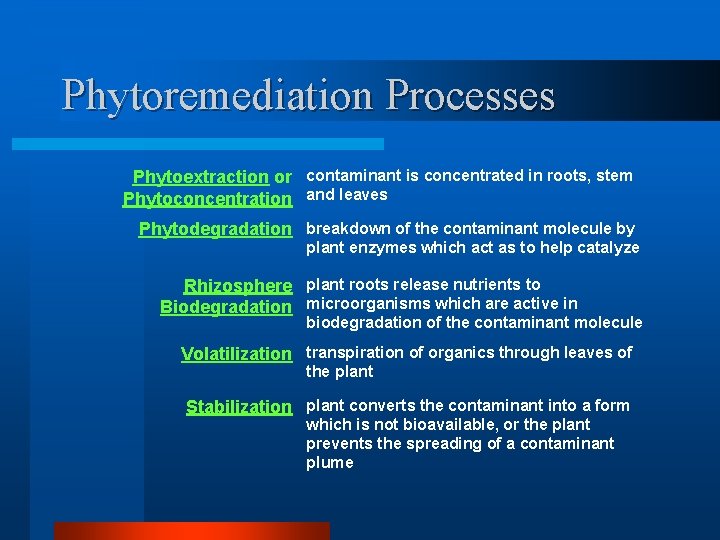 Phytoremediation Processes Phytoextraction or contaminant is concentrated in roots, stem Phytoconcentration and leaves Phytodegradation