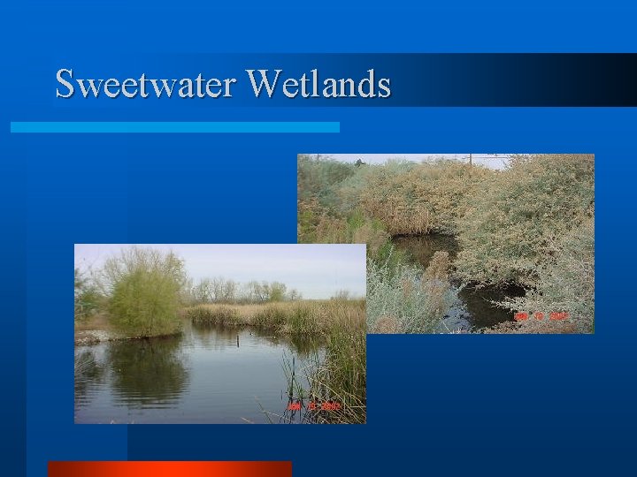 Sweetwater Wetlands 
