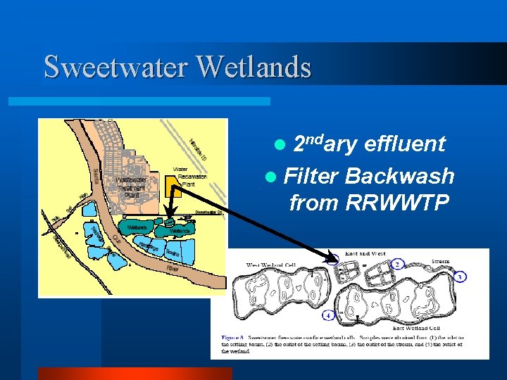 Sweetwater Wetlands l 2 ndary effluent l Filter Backwash from RRWWTP 