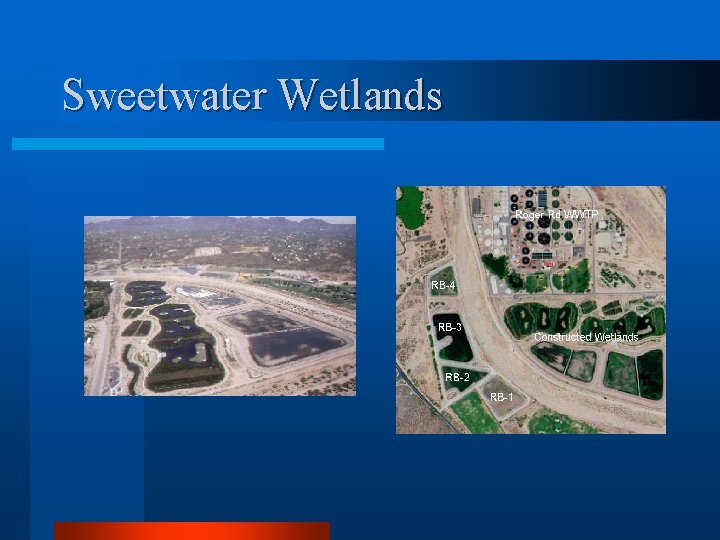 Sweetwater Wetlands 