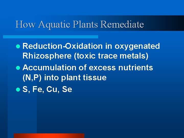 How Aquatic Plants Remediate l Reduction-Oxidation in oxygenated Rhizosphere (toxic trace metals) l Accumulation