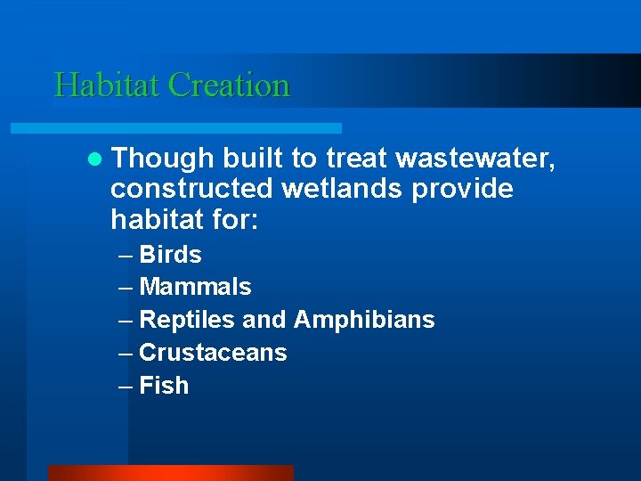 Habitat Creation l Though built to treat wastewater, constructed wetlands provide habitat for: –