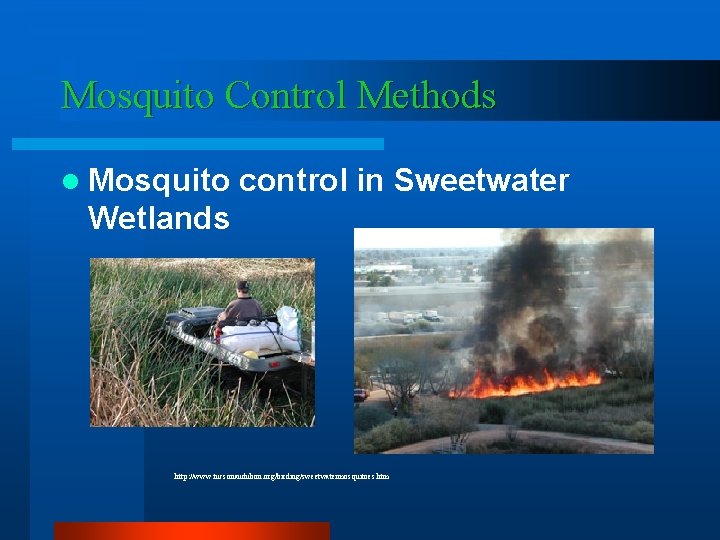 Mosquito Control Methods l Mosquito control in Sweetwater Wetlands http: //www. tucsonaudubon. org/birding/sweetwatermosquitoes. htm