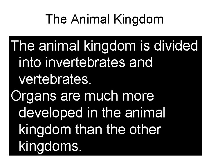 The Animal Kingdom The animal kingdom is divided into invertebrates and vertebrates. Organs are