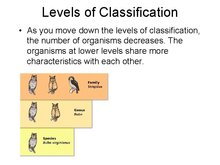 - Classifying Organisms Levels of Classification • As you move down the levels of