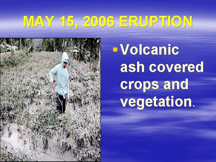 MAY 15, 2006 ERUPTION § Volcanic ash covered crops and vegetation. 