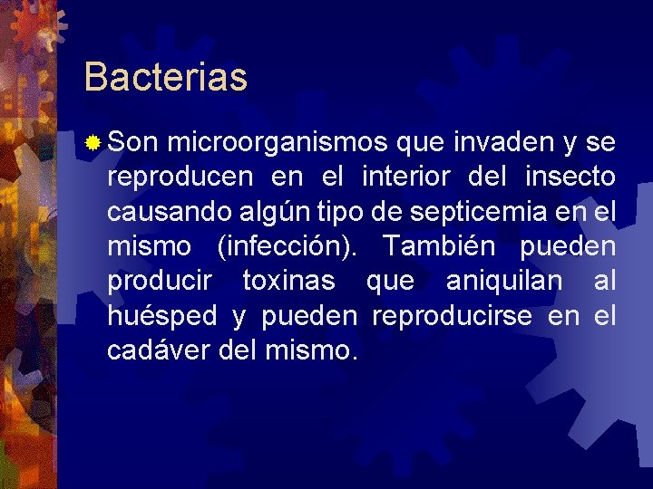 Bacterias Son microorganismos que invaden y se reproducen en el interior del insecto causando