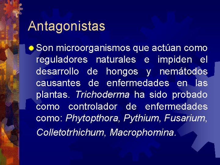 Antagonistas Son microorganismos que actúan como reguladores naturales e impiden el desarrollo de hongos