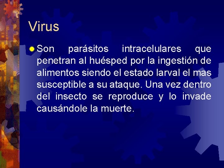 Virus Son parásitos intracelulares que penetran al huésped por la ingestión de alimentos siendo