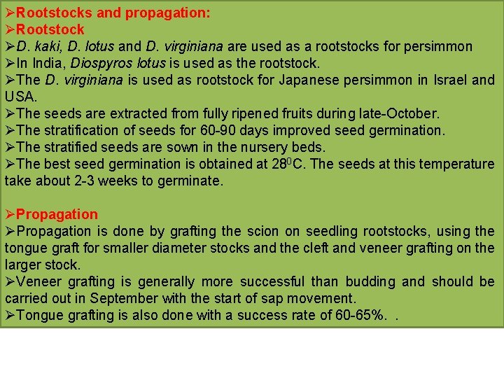 ØRootstocks and propagation: ØRootstock ØD. kaki, D. lotus and D. virginiana are used as
