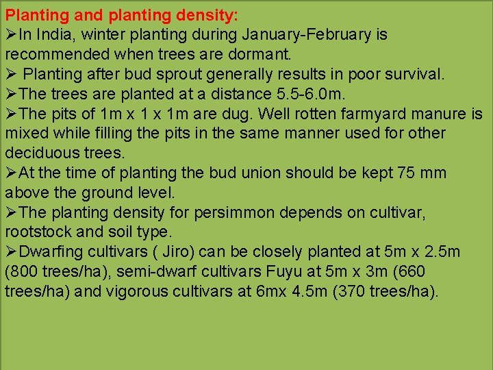 Planting and planting density: ØIn India, winter planting during January-February is recommended when trees