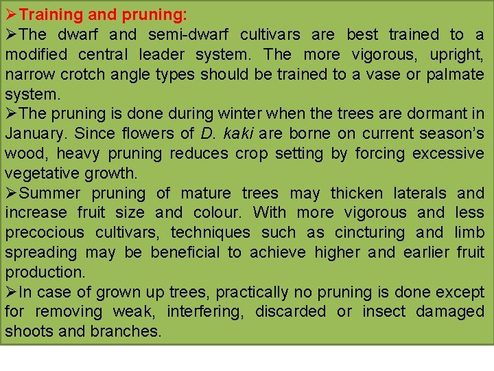ØTraining and pruning: ØThe dwarf and semi-dwarf cultivars are best trained to a modified