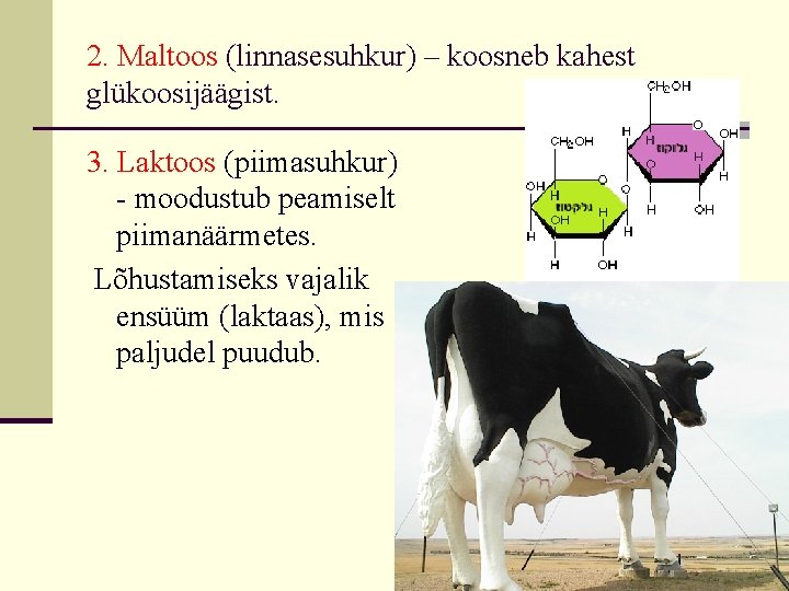 2. Maltoos (linnasesuhkur) – koosneb kahest glükoosijäägist. 3. Laktoos (piimasuhkur) - moodustub peamiselt piimanäärmetes.