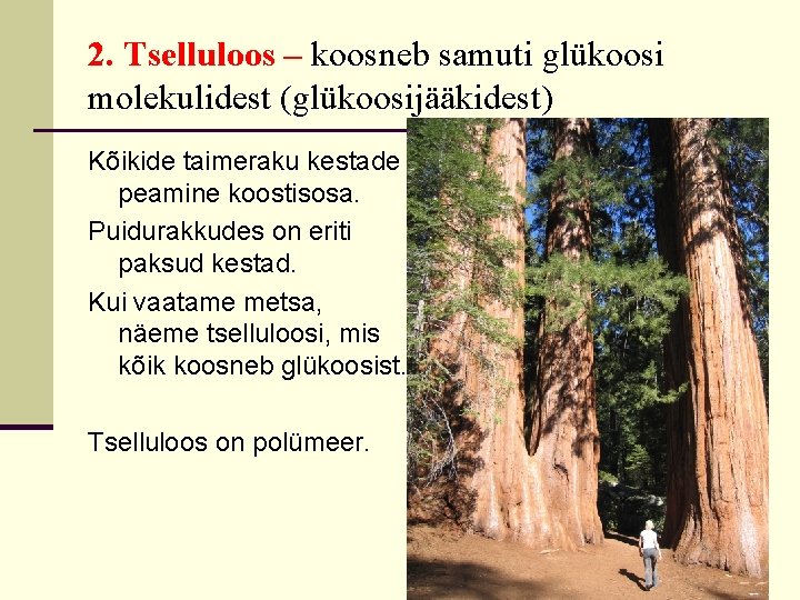 2. Tselluloos – koosneb samuti glükoosi molekulidest (glükoosijääkidest) Kõikide taimeraku kestade peamine koostisosa. Puidurakkudes