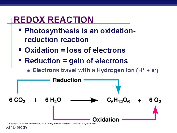 REDOX REACTION § Photosynthesis is an oxidation- § § reduction reaction Oxidation = loss