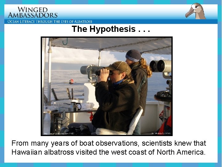 The Hypothesis. . . From many years of boat observations, scientists knew that Hawaiian