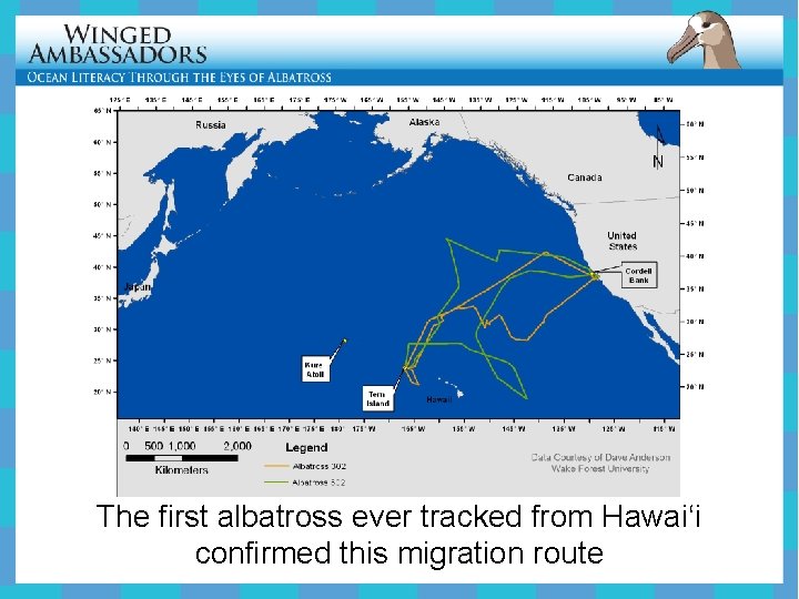 The first albatross ever tracked from Hawai‘i confirmed this migration route 
