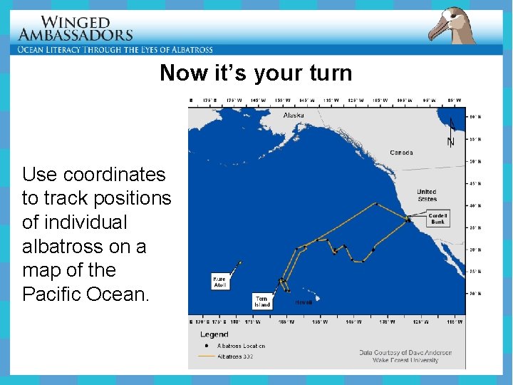 Now it’s your turn Use coordinates to track positions of individual albatross on a