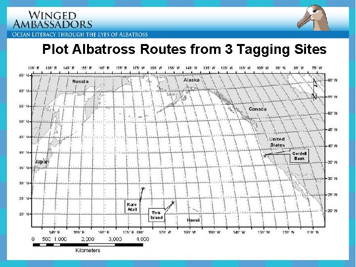 Plot Albatross Routes from 3 Tagging Sites 