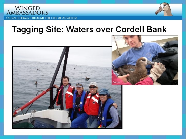 Tagging Site: Waters over Cordell Bank 