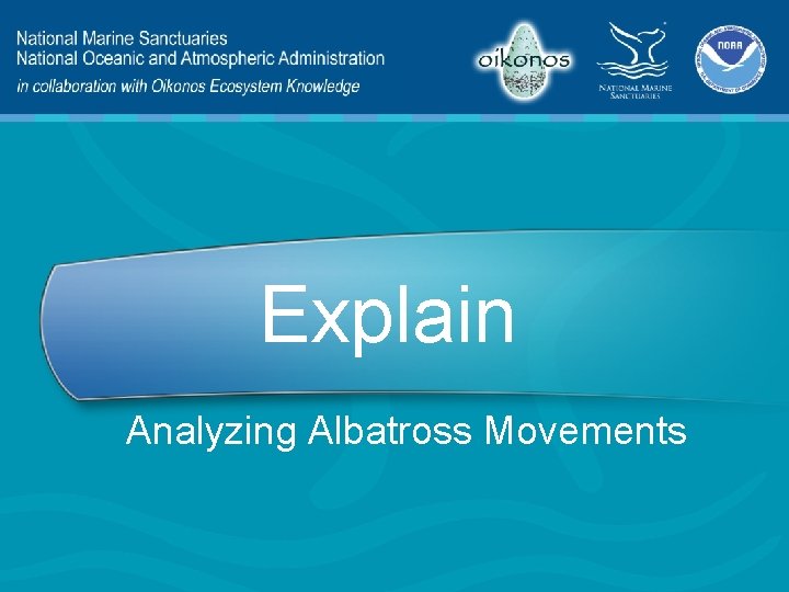 Explain Analyzing Albatross Movements 